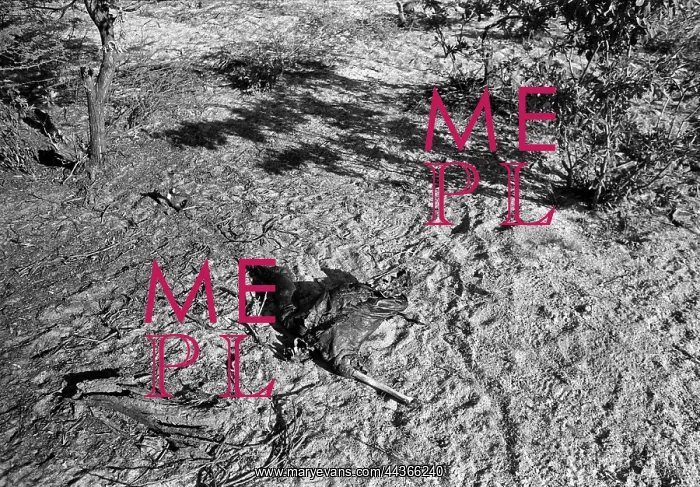 : Bush of Ghosts - Life and War in Namibia 1986-1990 : Bush of Ghosts - Life and War in Namibia 1986-1990