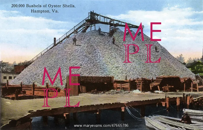 : Bushels of oyster shells at Hampton, Virginia, USA : Bushels of oyster shells at Hampton, Virginia, USA