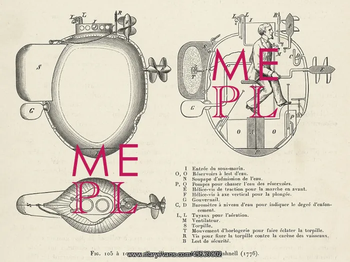 : Bushnell's Sub - Section : Bushnell's Sub - Section