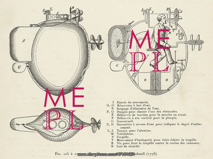 : Bushnell's Sub - Section : Bushnell's Sub - Section