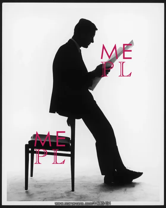 : BUSINESSMAN SILHOUETTE : BUSINESSMAN SILHOUETTE
