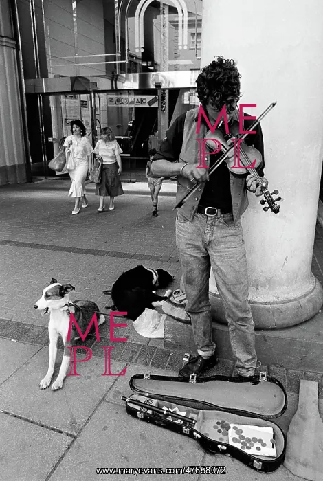 : Busker with dogs, Cheltenham - 1 : Busker with dogs, Cheltenham - 1