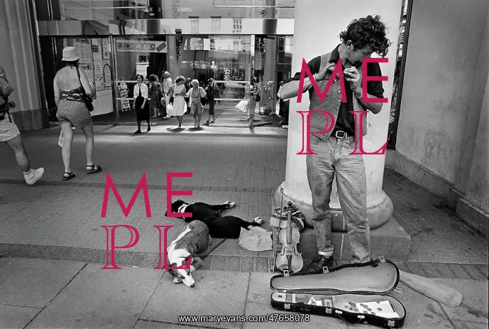 : Busker with dogs, Cheltenham - 2 : Busker with dogs, Cheltenham - 2