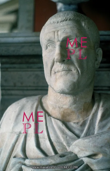: Detail of the bust of : Detail of the bust of
