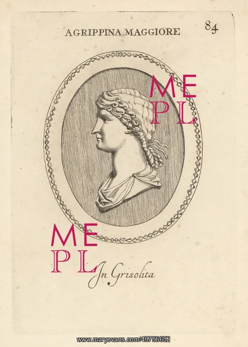: Bust of Agrippina the Elder, wife of Germanicus : Bust of Agrippina the Elder, wife of Germanicus