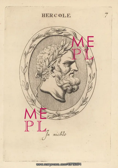 : Bust of bearded Hercules with laurel wreath : Bust of bearded Hercules with laurel wreath