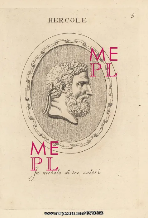 : Bust of bearded Hercules with laurel wreath : Bust of bearded Hercules with laurel wreath