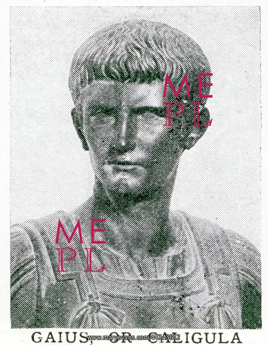  : Bust of Caligula - Roman Emperor