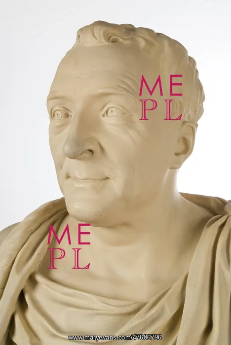 : Bust of Carl Linnaeus (1707-1778) : Bust of Carl Linnaeus (1707-1778)