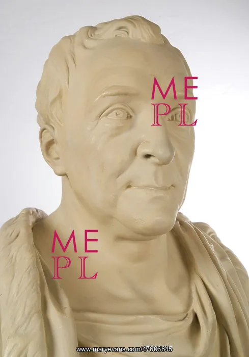 : Bust of Carl Linnaeus (1707-1778) : Bust of Carl Linnaeus (1707-1778)