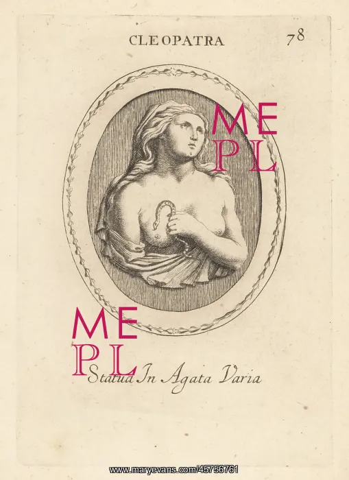: Bust of Cleopatra holding an asp to her bosom : Bust of Cleopatra holding an asp to her bosom
