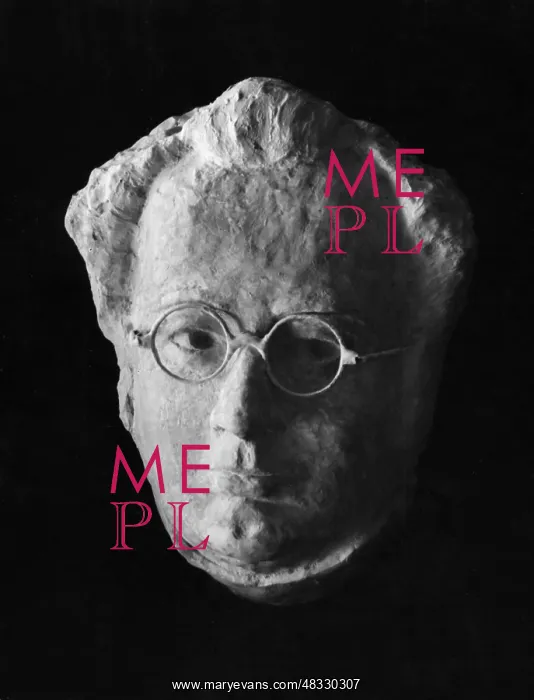 : The bust of Franz Schubert, 1930s : The bust of Franz Schubert, 1930s