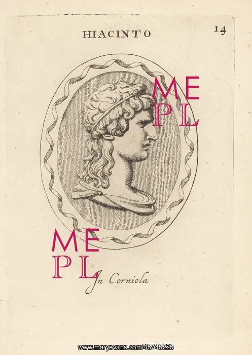 : Bust of Hyacinthus, divine hero and lover of Apollo : Bust of Hyacinthus, divine hero and lover of Apollo