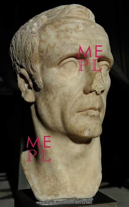 : Bust identified as C. Julius Caesar or Cornelius Sulla. Perh : Bust identified as C. Julius Caesar or Cornelius Sulla. Perh