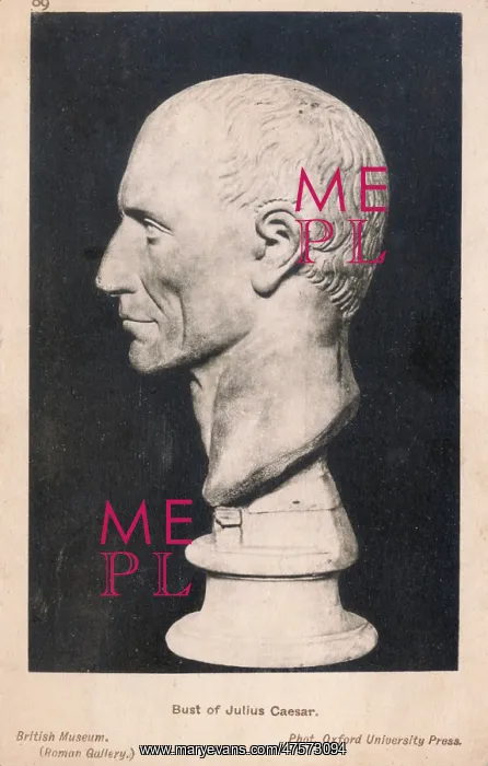  : Bust of Julius Caesar