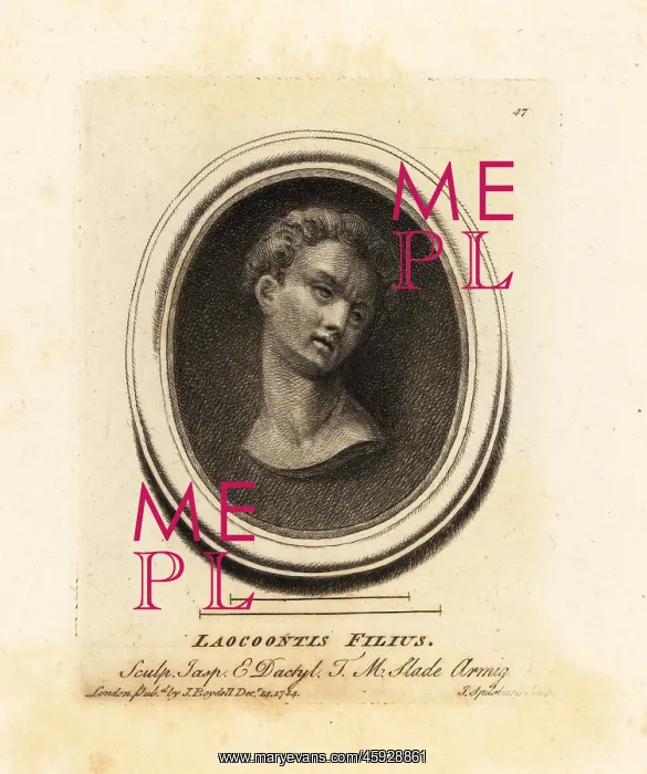 : Bust of one of Laocoon's sons : Bust of one of Laocoon's sons