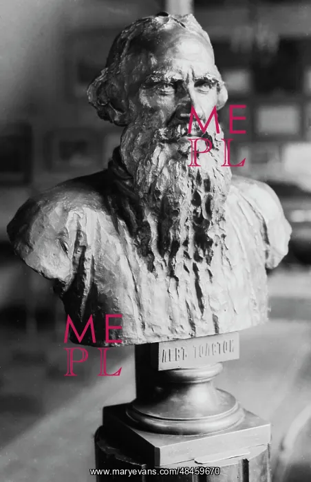 : Bust of L.N.Tolstoy : Bust of L.N.Tolstoy
