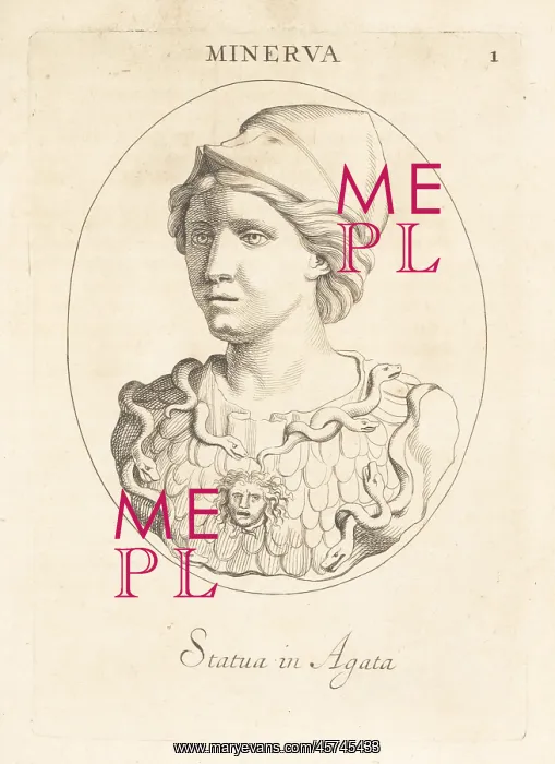 : Bust of Minerva, Roman goddess of wisdom : Bust of Minerva, Roman goddess of wisdom