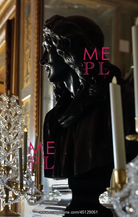 : Bust of Moliere, Chamber of the Muses, Chateau : Bust of Moliere, Chamber of the Muses, Chateau