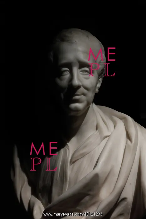 : Bust of Montesquieu, Musee d'Aquitaine, Bordeaux : Bust of Montesquieu, Musee d'Aquitaine, Bordeaux