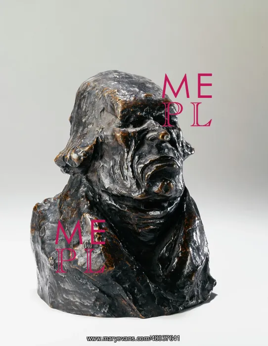 : Bust of Mr Odier : Bust of Mr Odier