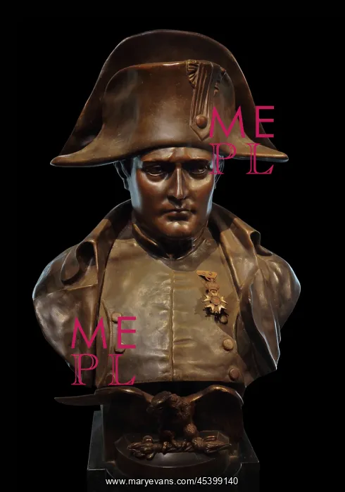 : Bust, Musee Napoleon, Brienne-le-Chateau, Aube, France : Bust, Musee Napoleon, Brienne-le-Chateau, Aube, France