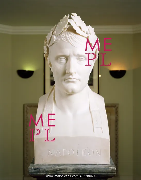 : Bust of Napoleon : Bust of Napoleon