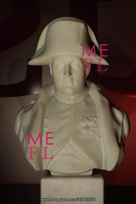 : Bust of Napoleon, Musee Napoleon, Brienne-le-Chateau, Aube : Bust of Napoleon, Musee Napoleon, Brienne-le-Chateau, Aube