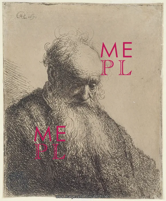 : Bust of an old bearded man : Bust of an old bearded man