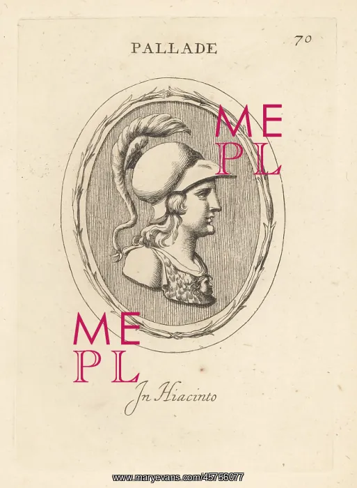 : Bust of Pallas, daughter of Triton : Bust of Pallas, daughter of Triton