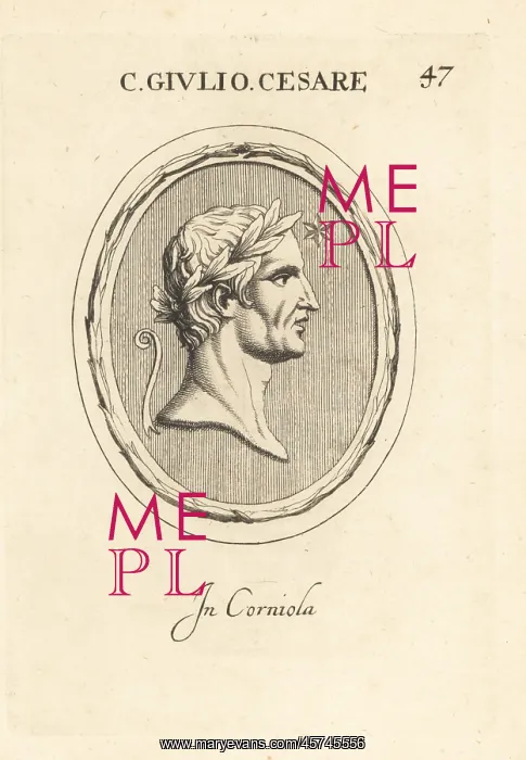 : Bust in profile of Gaius Julius Caesar, Roman general : Bust in profile of Gaius Julius Caesar, Roman general