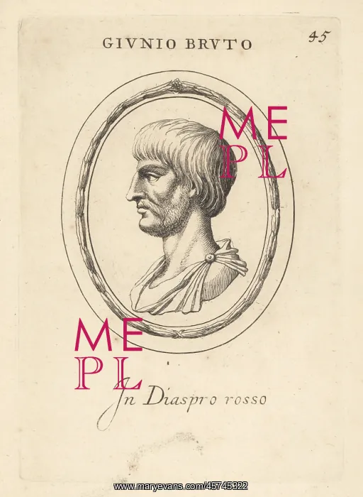 : Bust profile of Junius Brutus in red jasper : Bust profile of Junius Brutus in red jasper