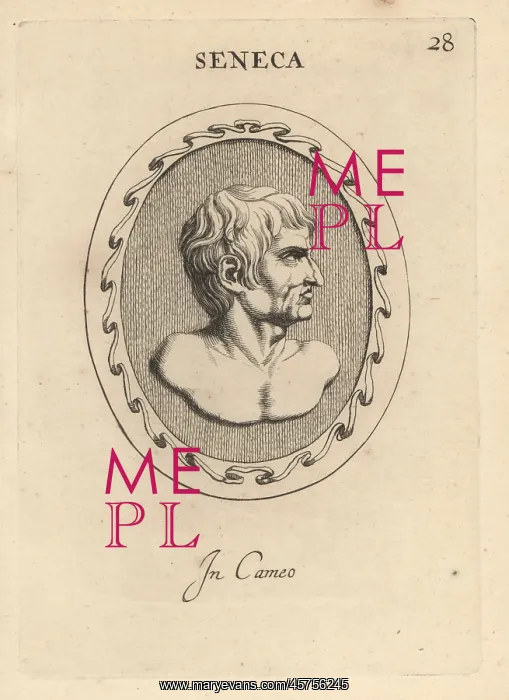 : Bust of Seneca, Roman Stoic philosopher : Bust of Seneca, Roman Stoic philosopher