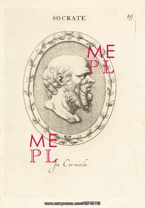 : Bust of Socrates, Greek philosopher from Athens : Bust of Socrates, Greek philosopher from Athens