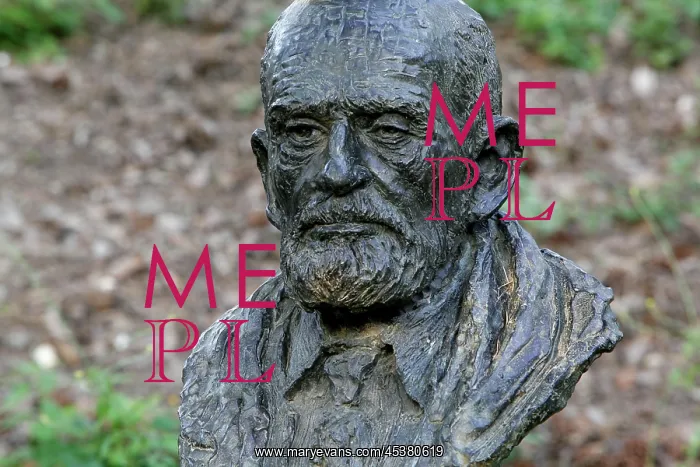: Bust statue of Theodore Monod seen at sunrise : Bust statue of Theodore Monod seen at sunrise