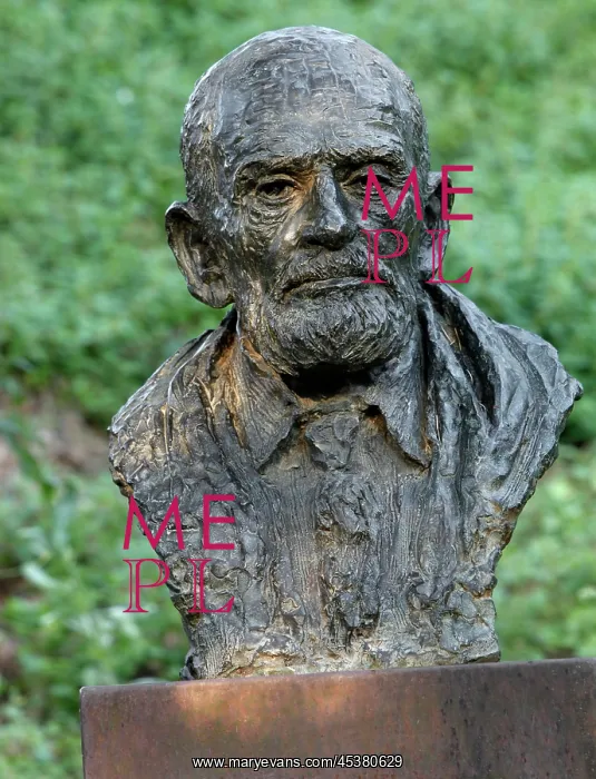 : Bust statue of Theodore Monod seen at sunrise : Bust statue of Theodore Monod seen at sunrise
