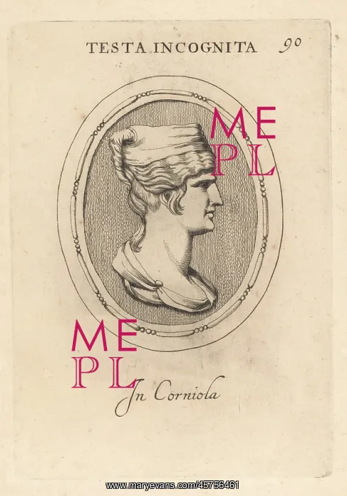 : Bust of unknown woman in bizarre headdress : Bust of unknown woman in bizarre headdress
