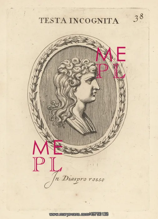 : Bust of an unknown woman with hair in curls : Bust of an unknown woman with hair in curls