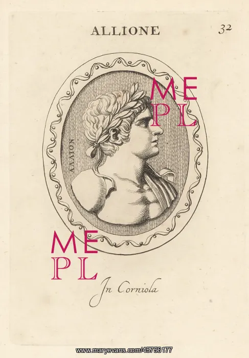 : Bust of a young athlete crowned with laurel wreath : Bust of a young athlete crowned with laurel wreath