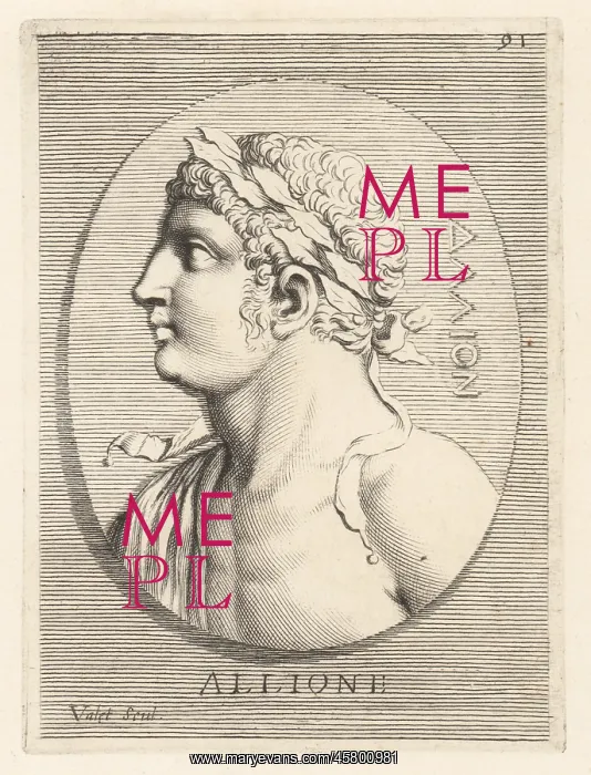 : Bust of a young male athlete crowned with victory laurels : Bust of a young male athlete crowned with victory laurels