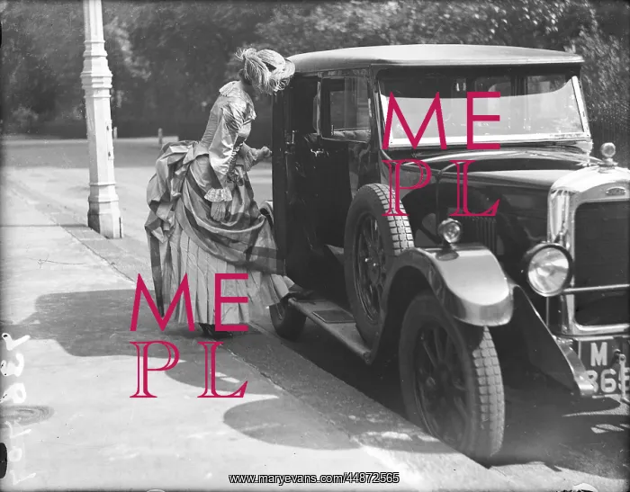 : THE BUSTLE & MOTOR CAR : THE BUSTLE & MOTOR CAR