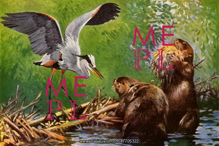  : Busy Beavers