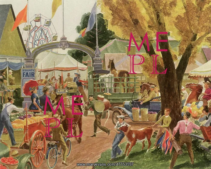  : Busy County Fair