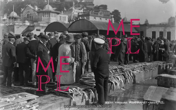 : Busy Day at Torquay Fish Market : Busy Day at Torquay Fish Market