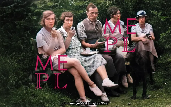 : BUSY EATING AT PICNIC : BUSY EATING AT PICNIC