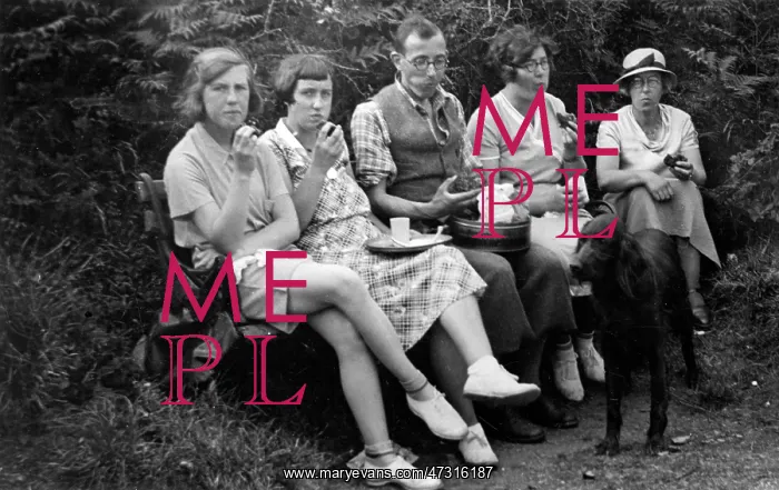: BUSY EATING AT PICNIC : BUSY EATING AT PICNIC