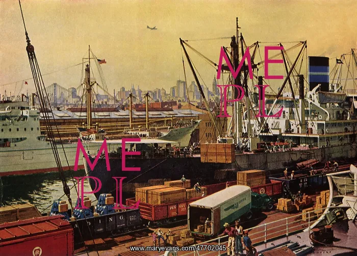  : Busy Harbor