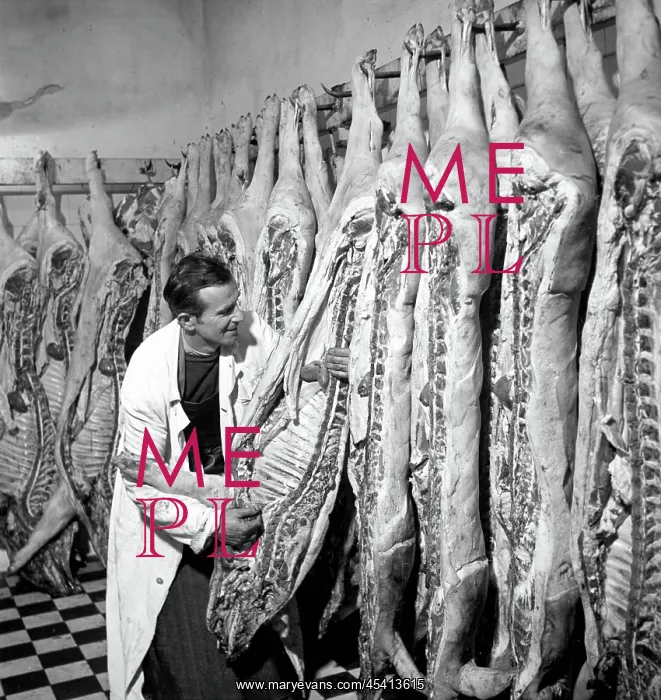 : Butcher in cooler : Butcher in cooler