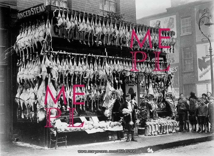 : Butcher shop : Butcher shop