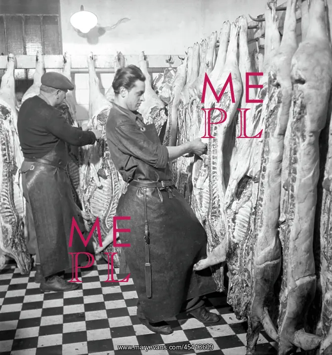 : Butchering pork : Butchering pork